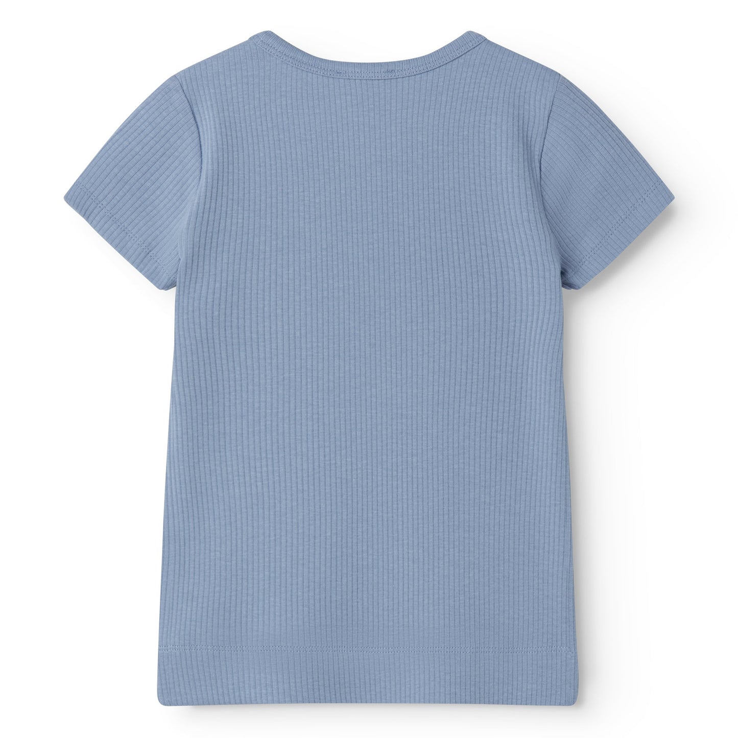 BLUE IRIS HENLEY TEE