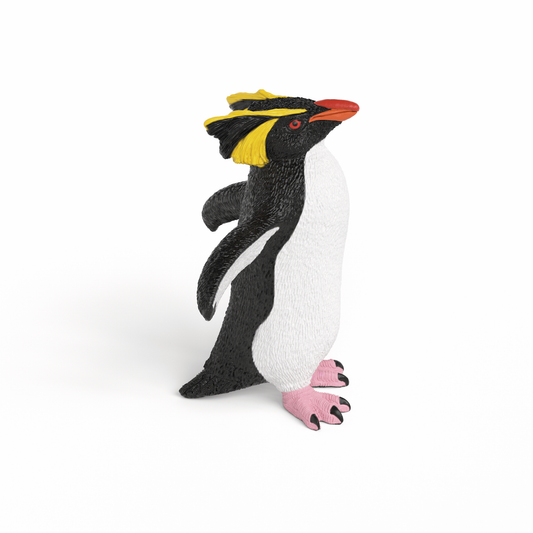ROCKHOPPER PENGUIN