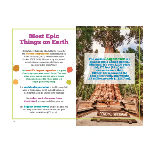 THE BIG BOOK OF USELESS FACTS