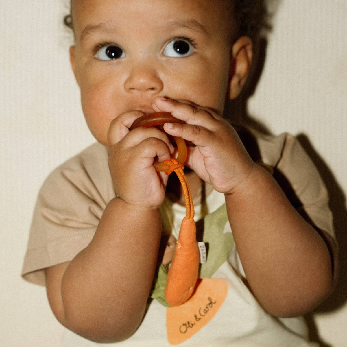 CATHY THE CARROT PACIFIER CLIP