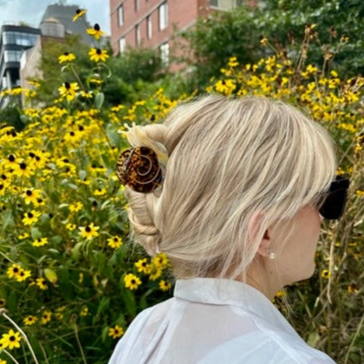 SNAIL CLAW HAIR CLIP