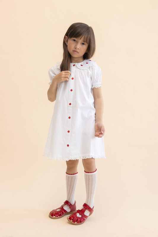 AJA STRAWBERRY DRESS