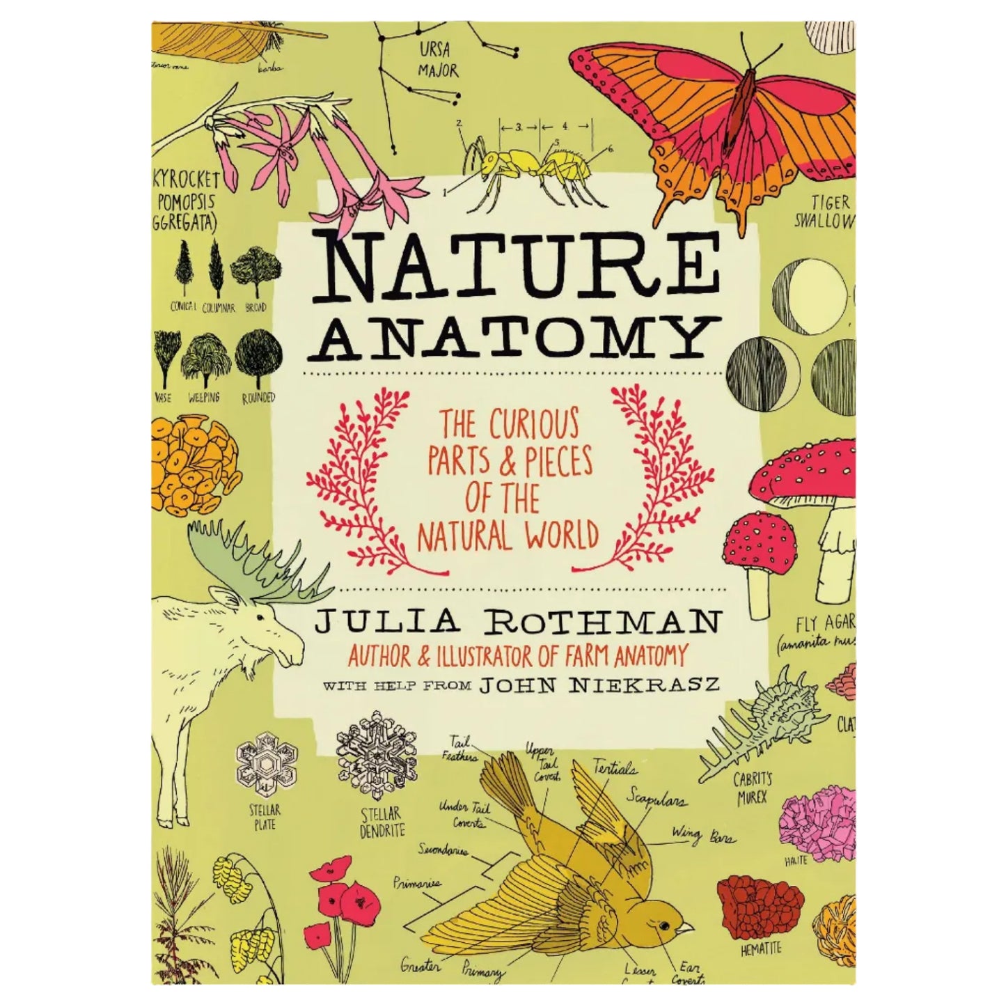 NATURE ANATOMY