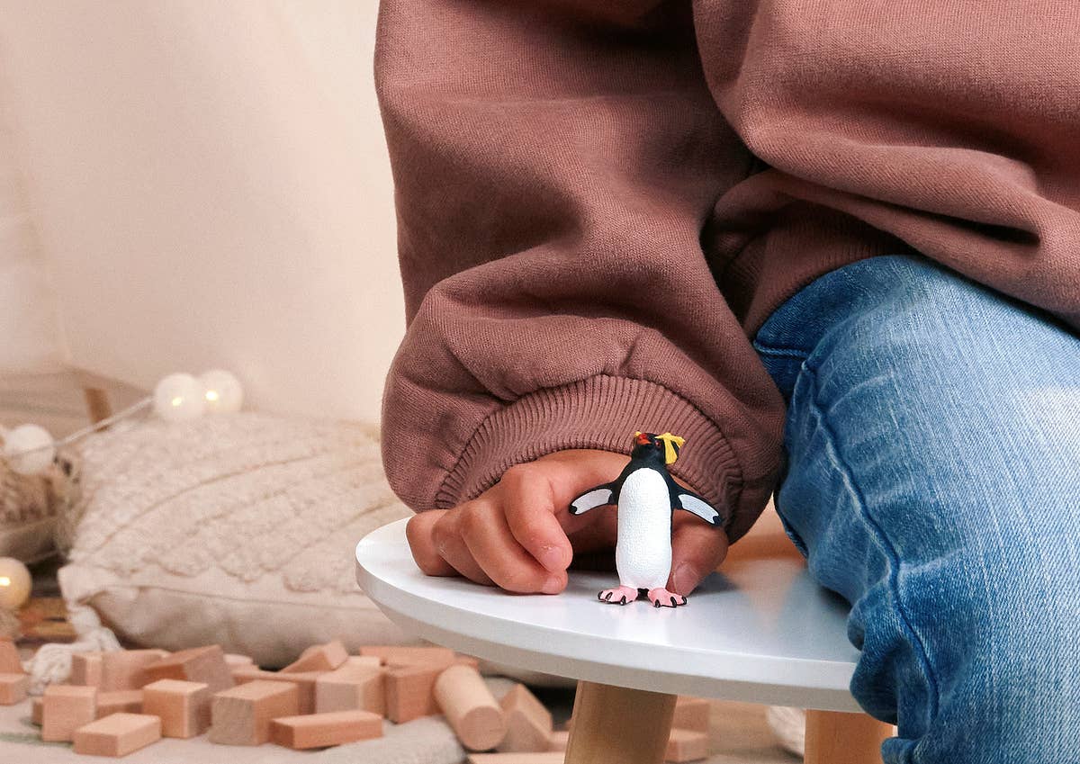 ROCKHOPPER PENGUIN