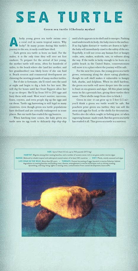 OCEAN: A PHOTICULAR BOOK