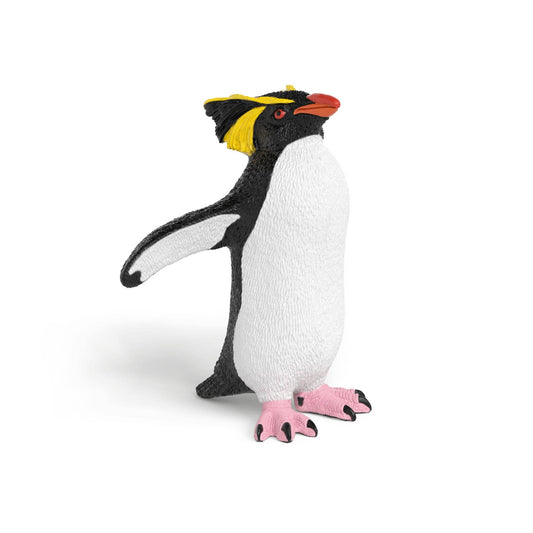 ROCKHOPPER PENGUIN