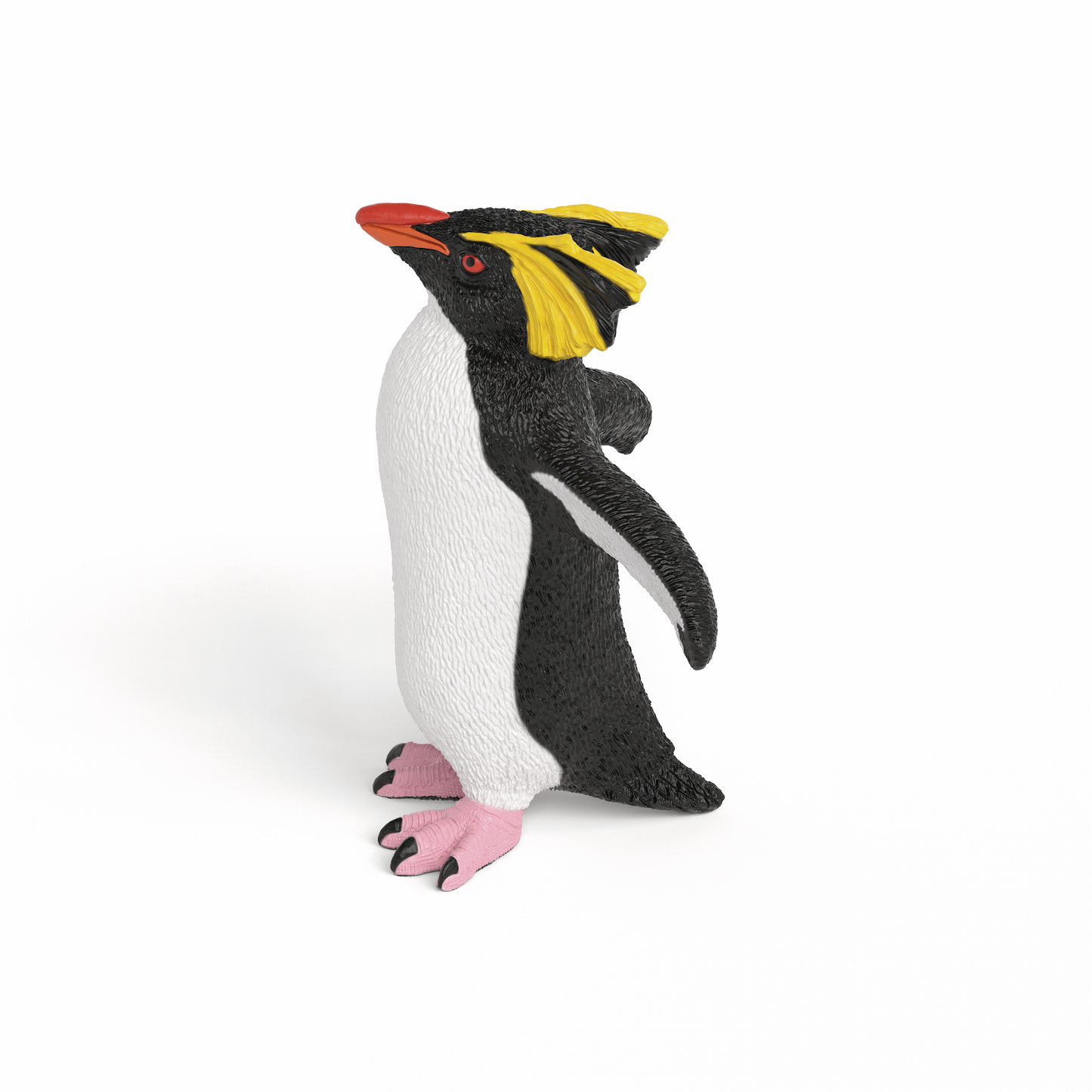 ROCKHOPPER PENGUIN