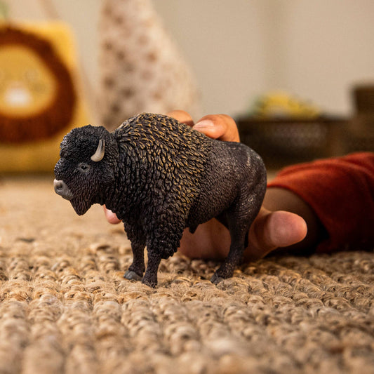 BISON