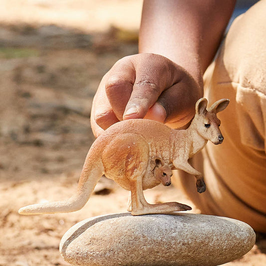 KANGAROO