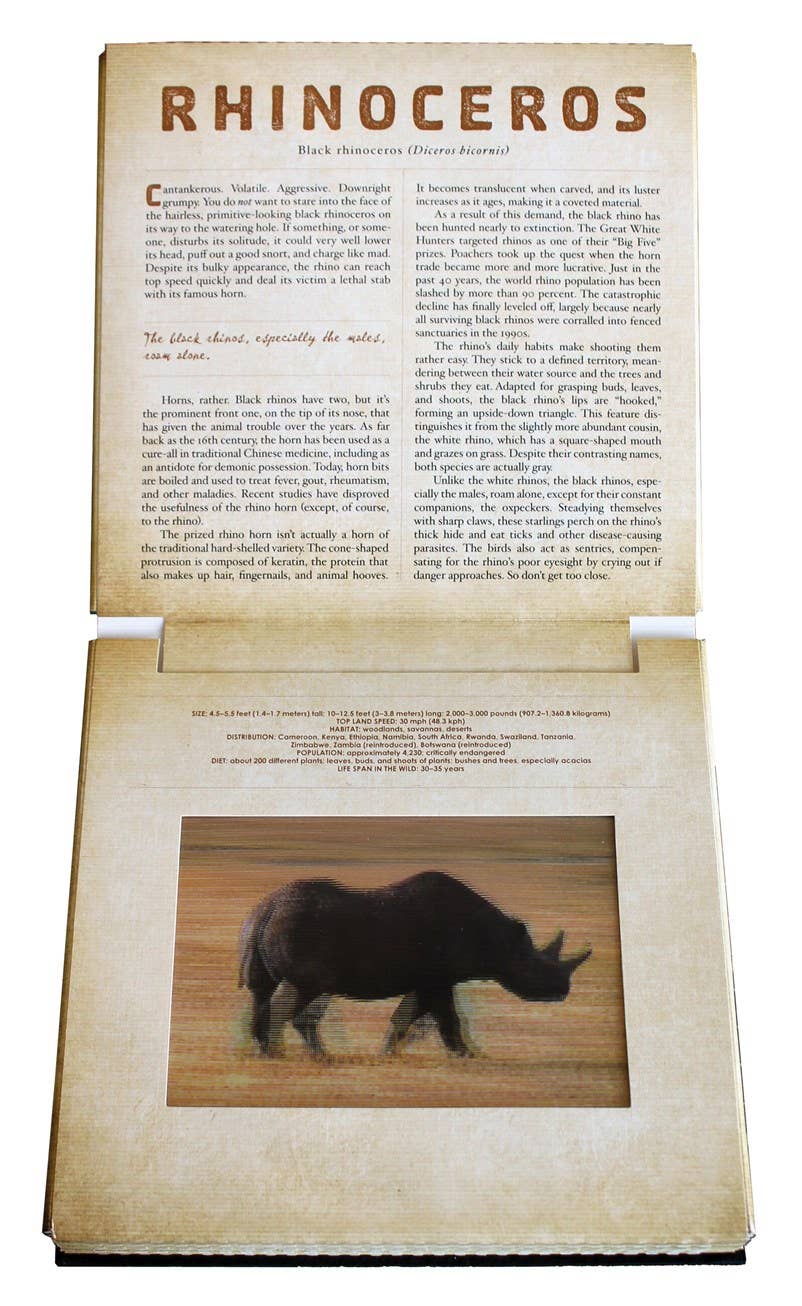 SAFARI:A PHOTICULAR BOOK