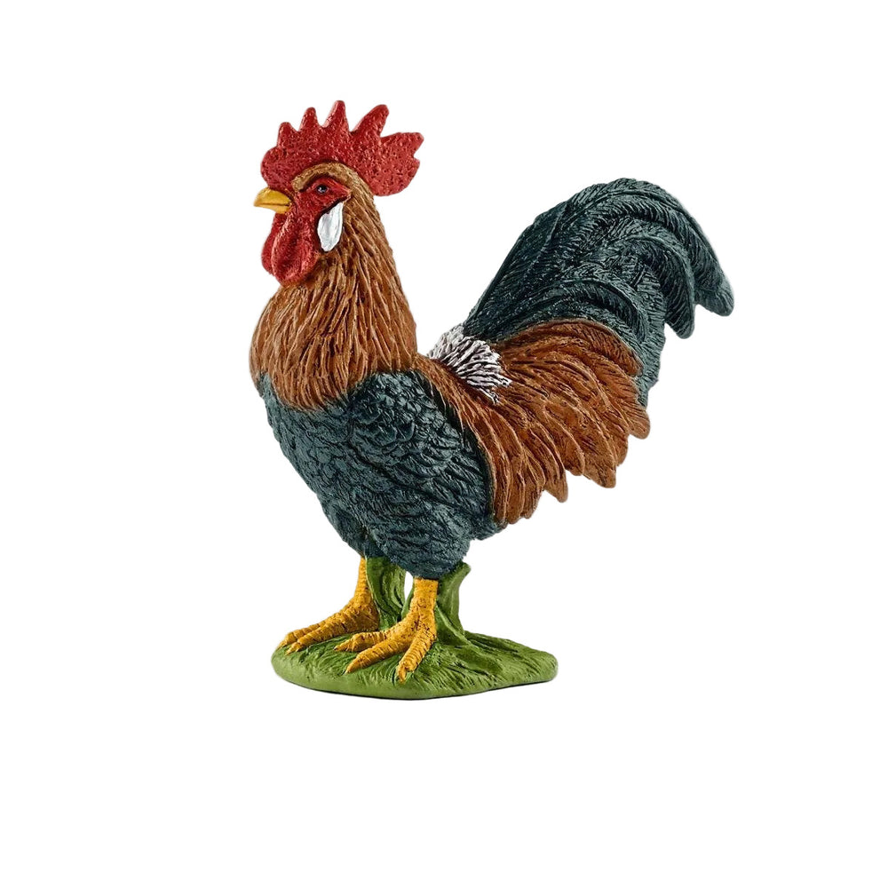 ROOSTER