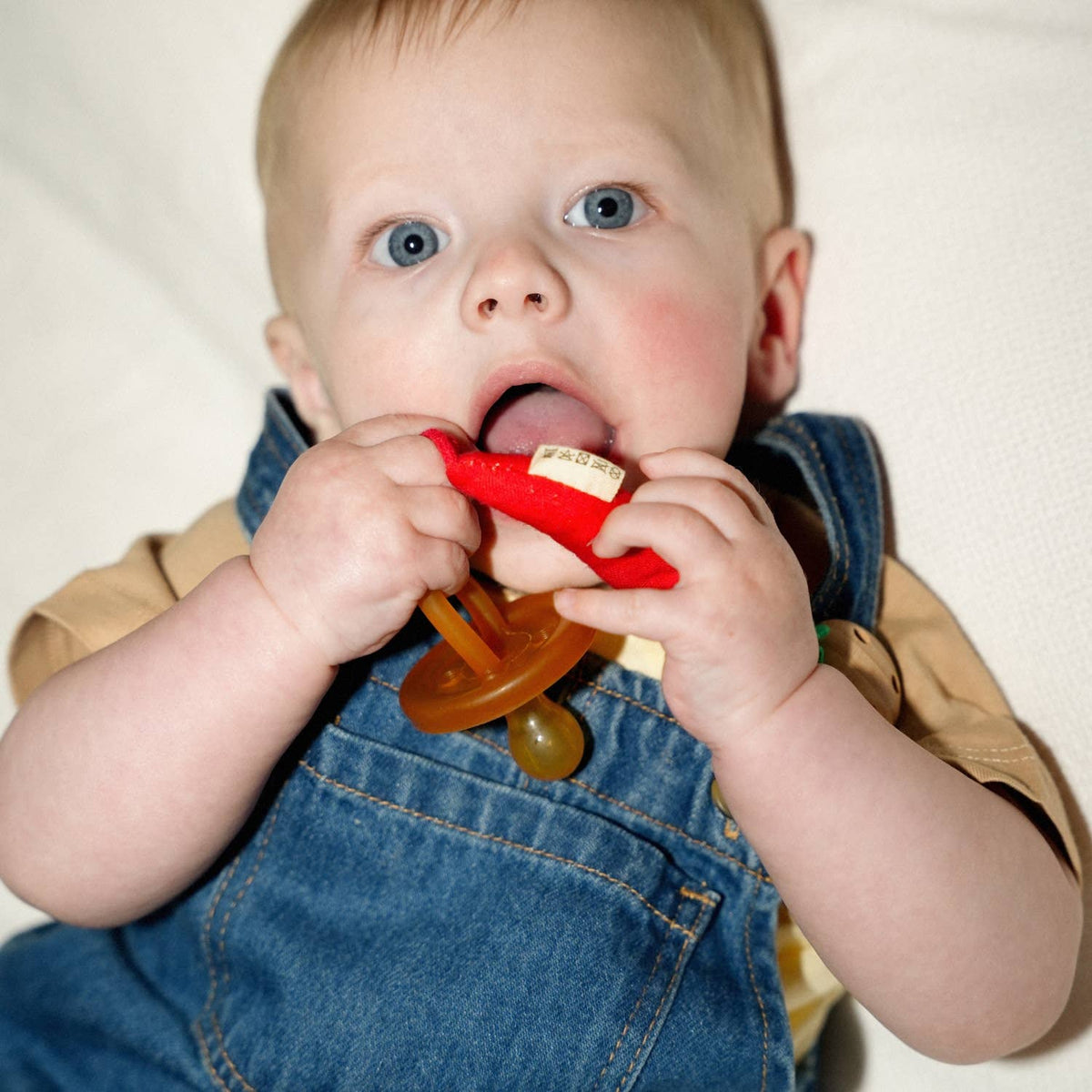 CHARLY THE CHILI Charly the PACIFIER CLIP