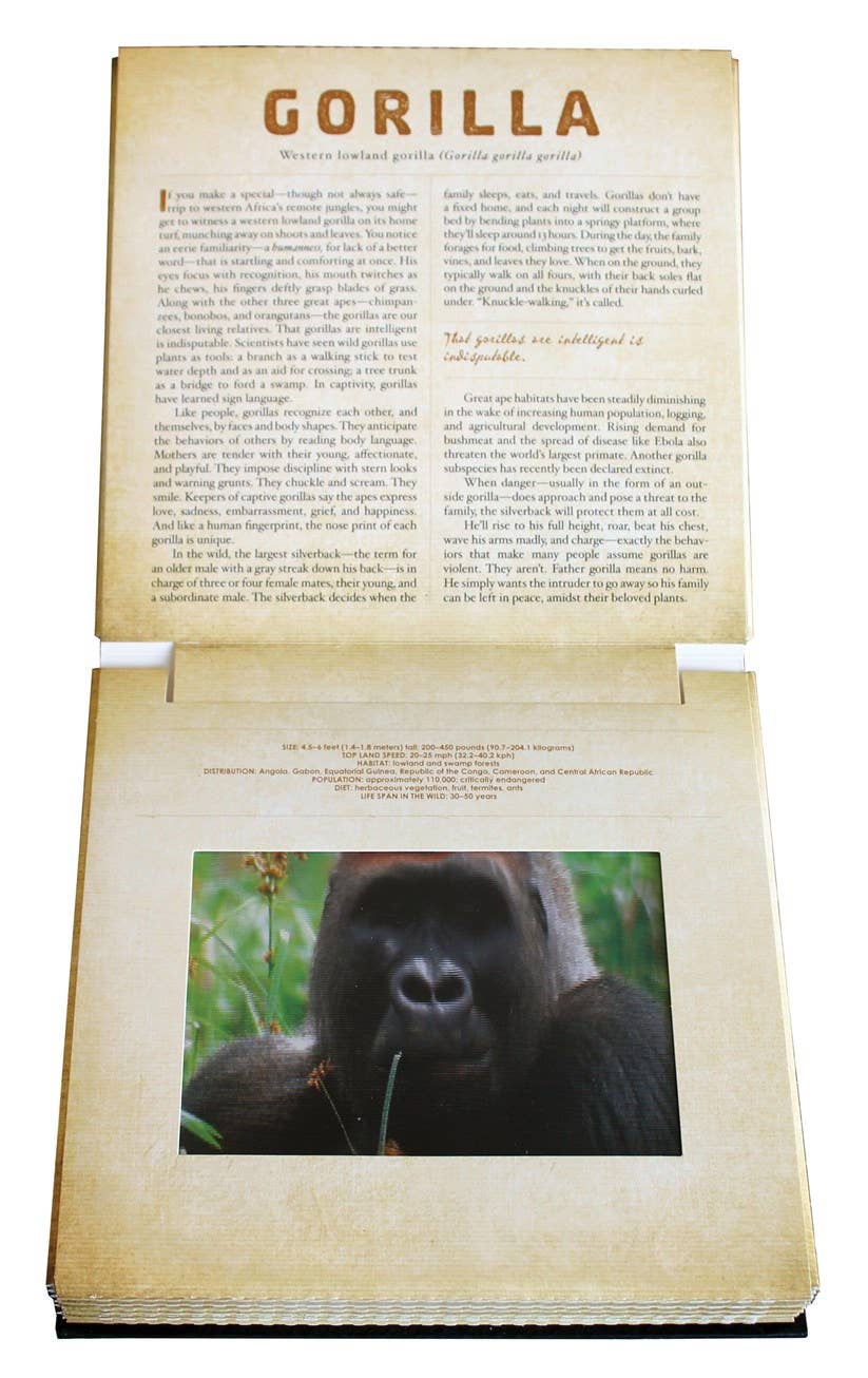 SAFARI:A PHOTICULAR BOOK