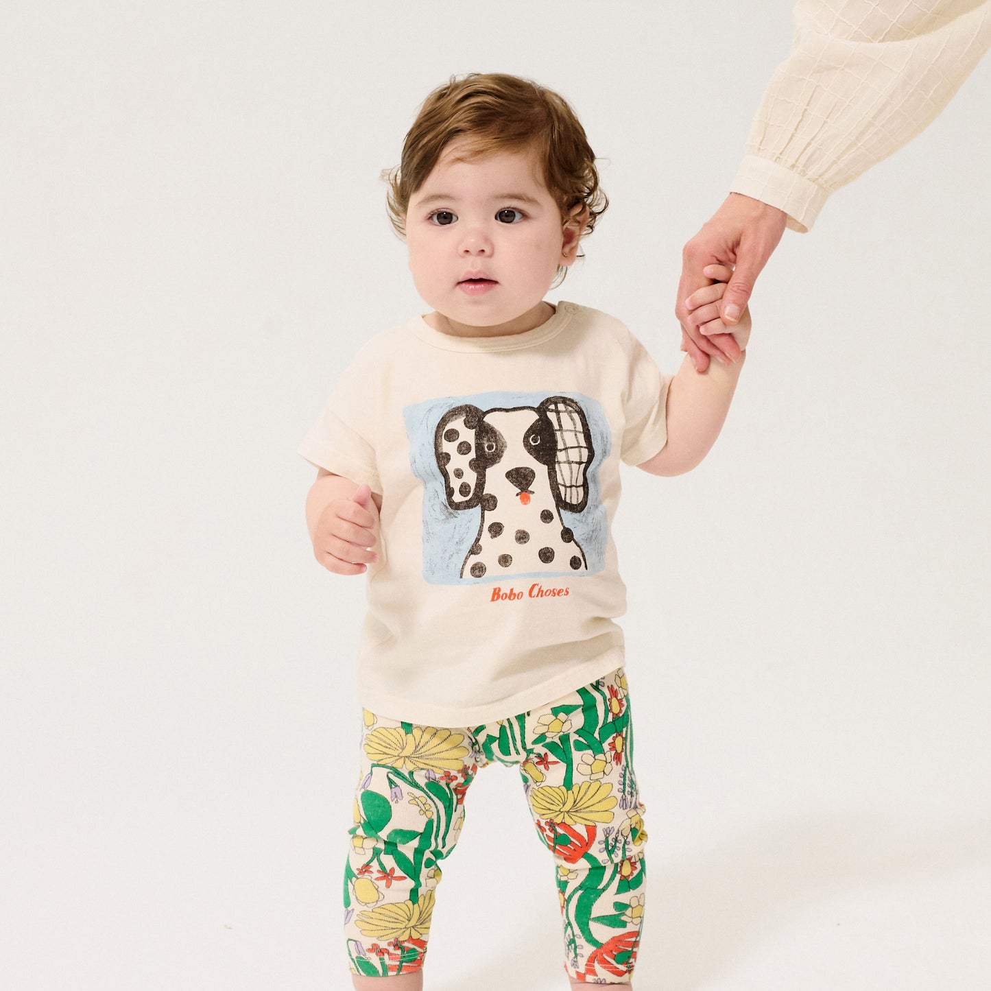 VAN DOG T SHIRT