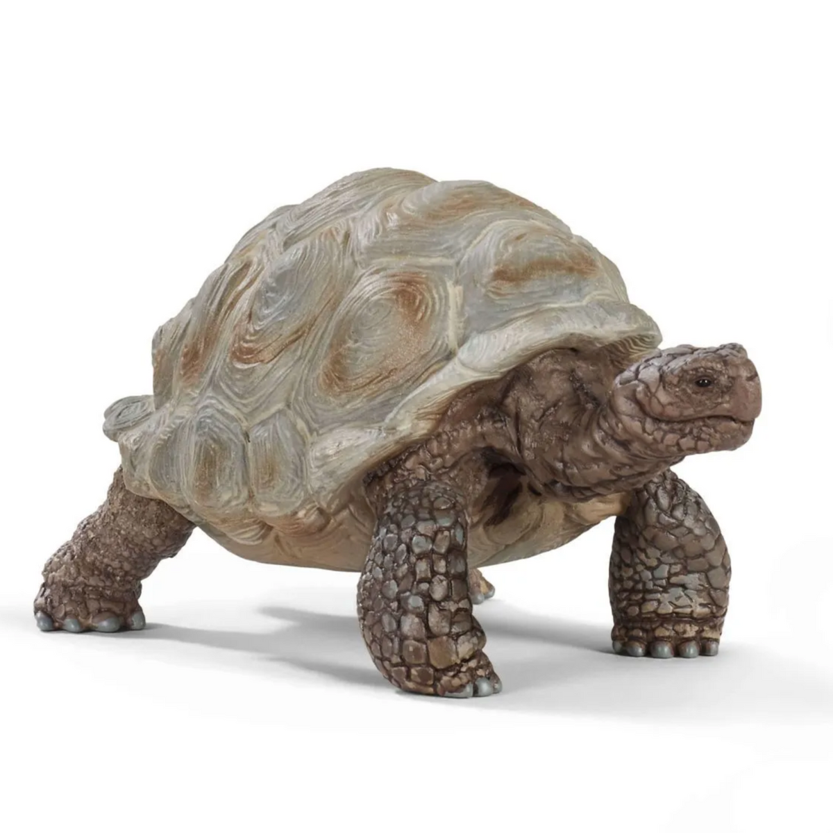 Collectables — Little-ish