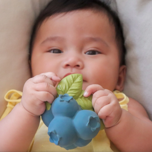 JERRY THE BLUEBERRY  TEETHER