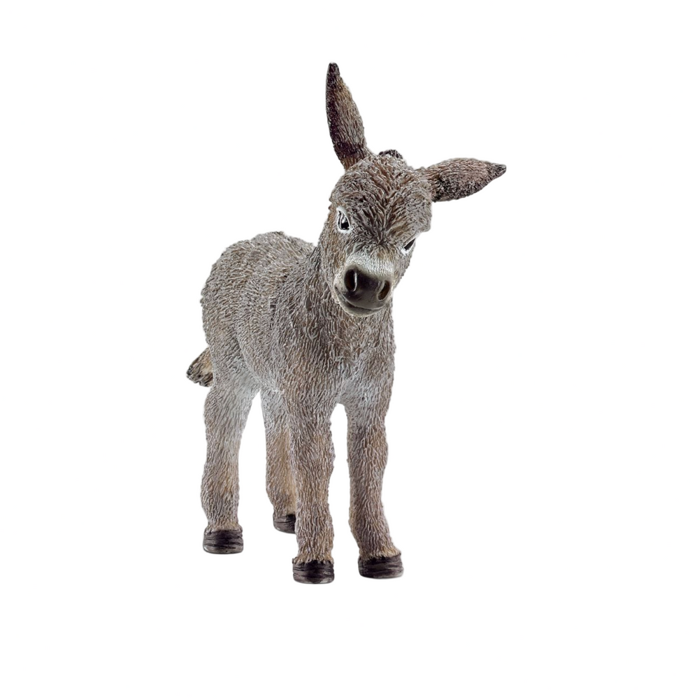 DONKEY FOAL