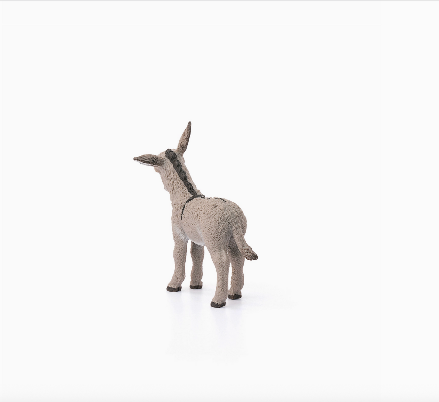 DONKEY FOAL