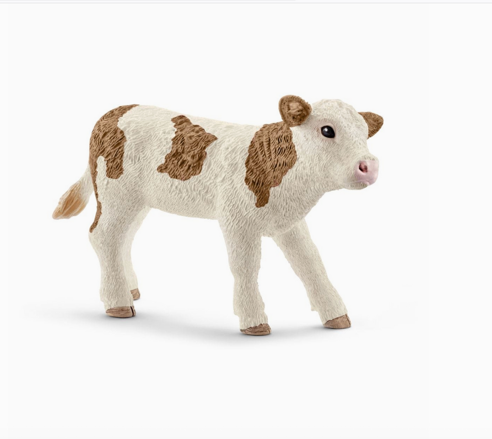 SIMMENTAL CALF
