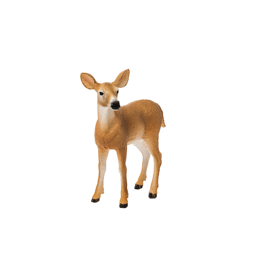 WHITE TAIL DOE