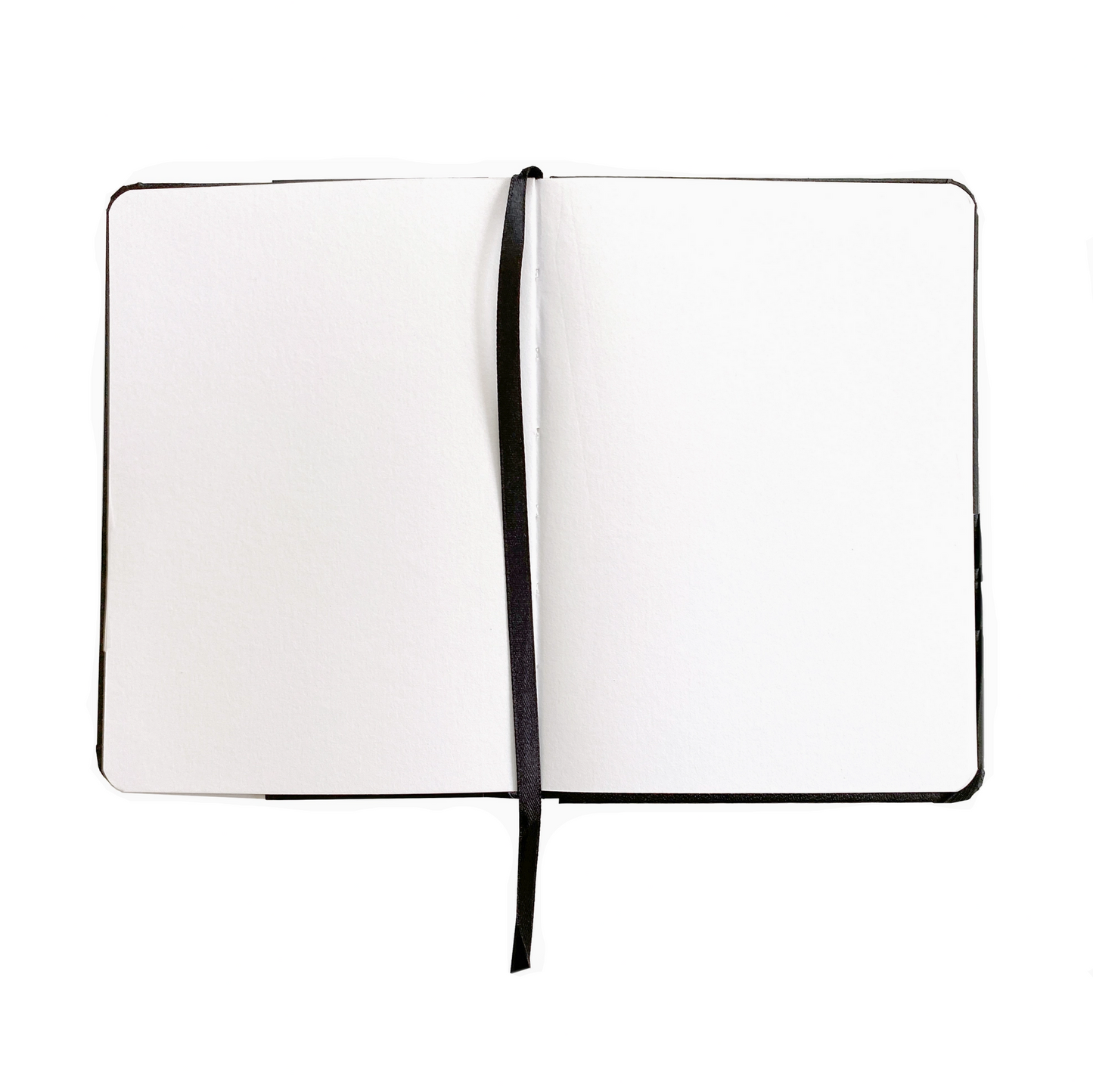 FIELD SKETCHBOOK