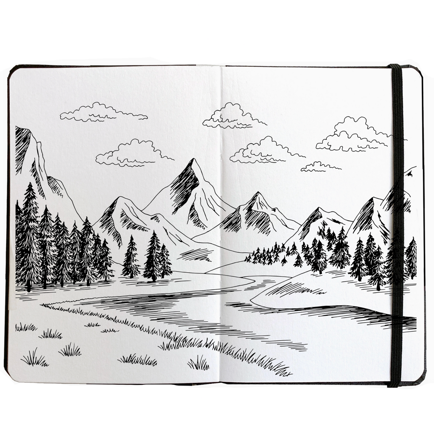 FIELD SKETCHBOOK