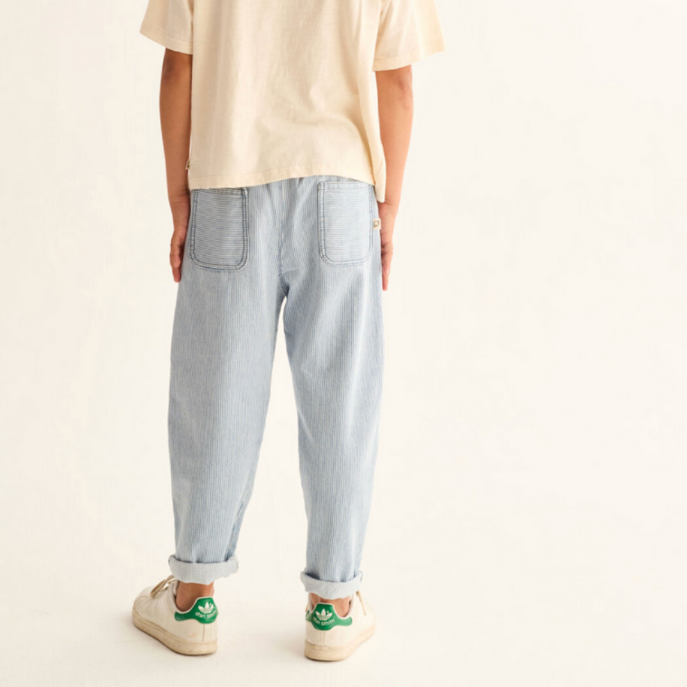 ECHO RAILROAD STRIPED DENIM PANTS