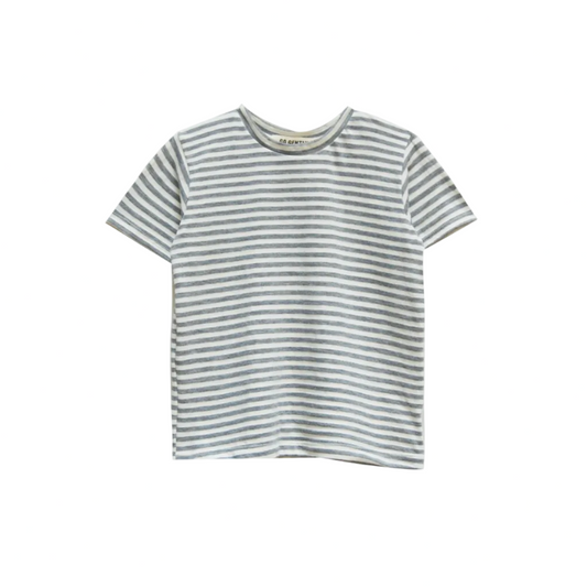 ORGANIC SOLID PEWTER GRAY TEE