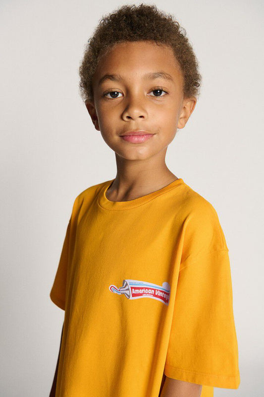 AMERICAN VINTAGE FIZVALLEY T SHIRT - VINTAGE LIGHT