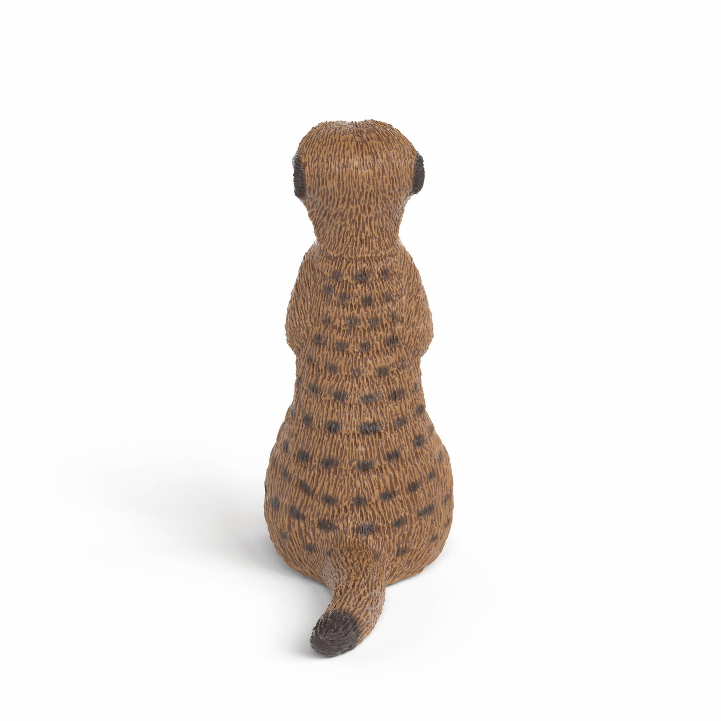 MEERKAT