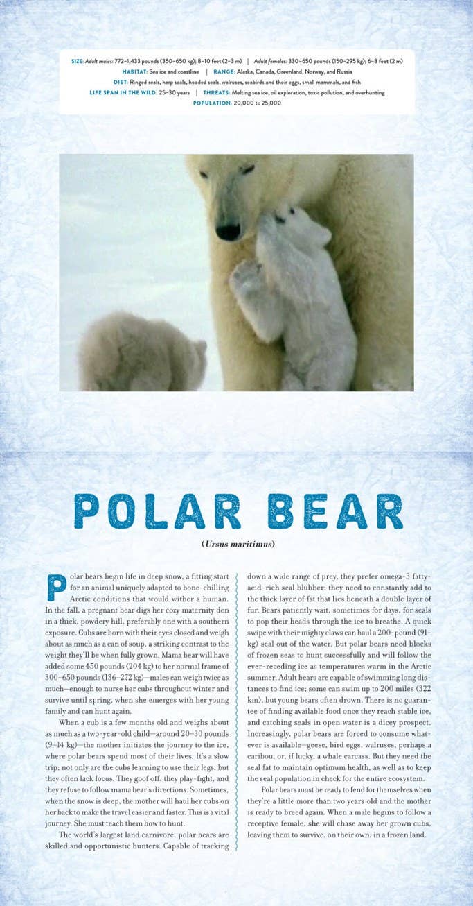 POLAR: A PHOTICULAR BOOK