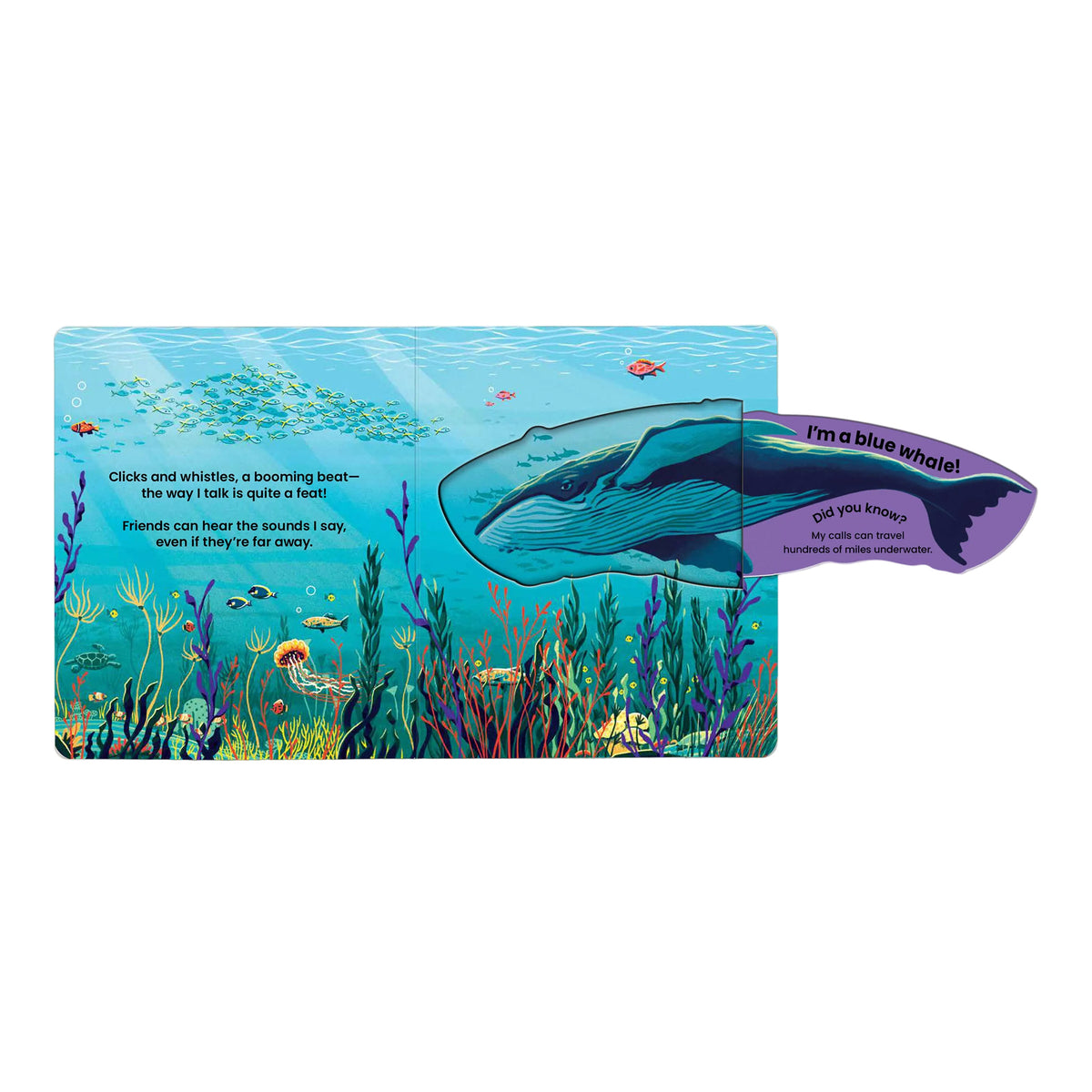 WHO'S HIDING? Under the Sea: A Lift-the-Flap Book