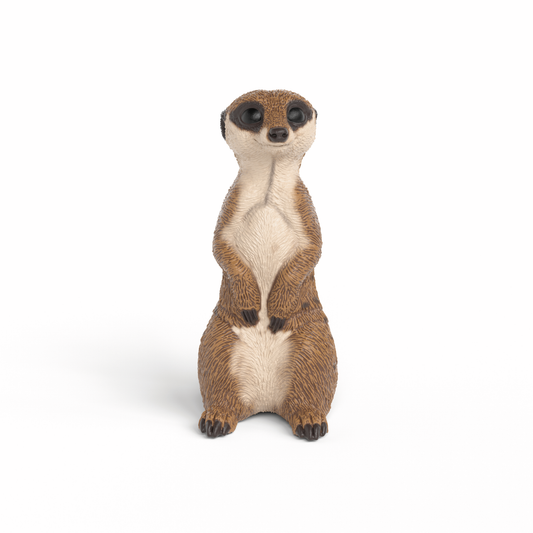 MEERKAT