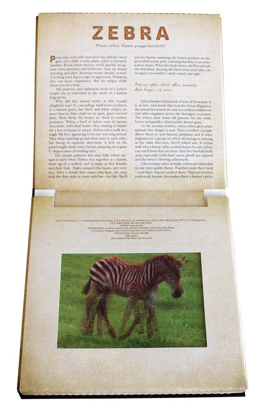 SAFARI:A PHOTICULAR BOOK