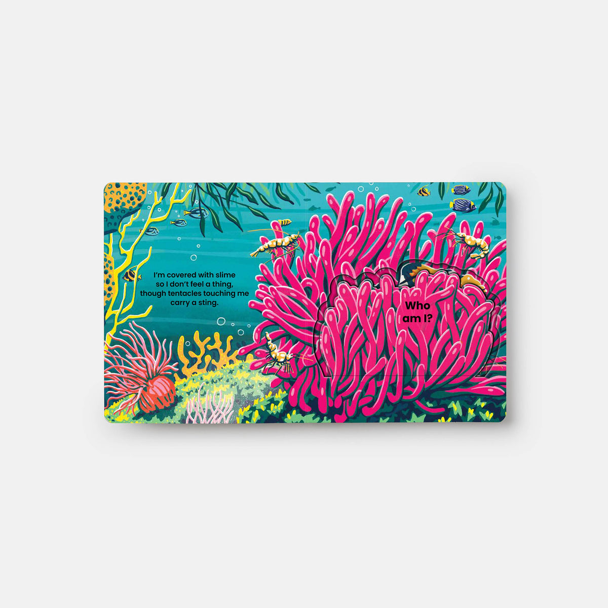 WHO'S HIDING? Under the Sea: A Lift-the-Flap Book