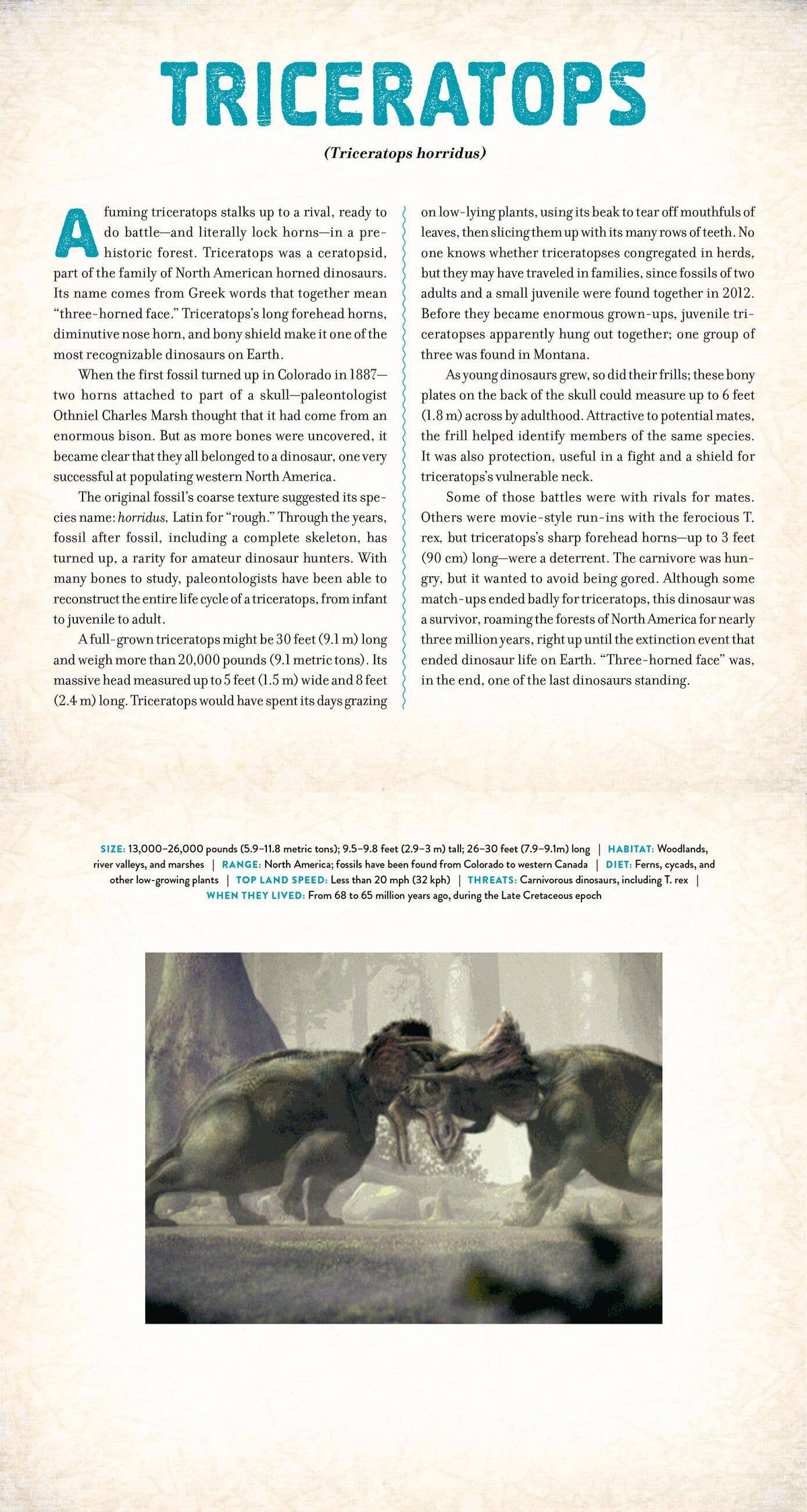 DINOSAUR: A PHOTICULAR BOOK