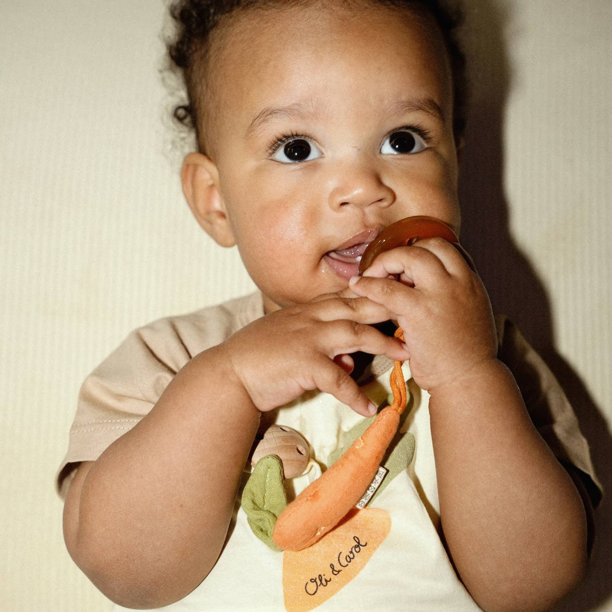 CATHY THE CARROT PACIFIER CLIP